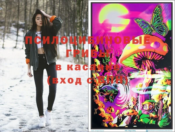 соль ск Алзамай