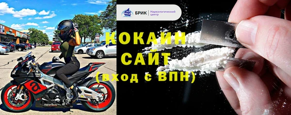 соль ск Алзамай